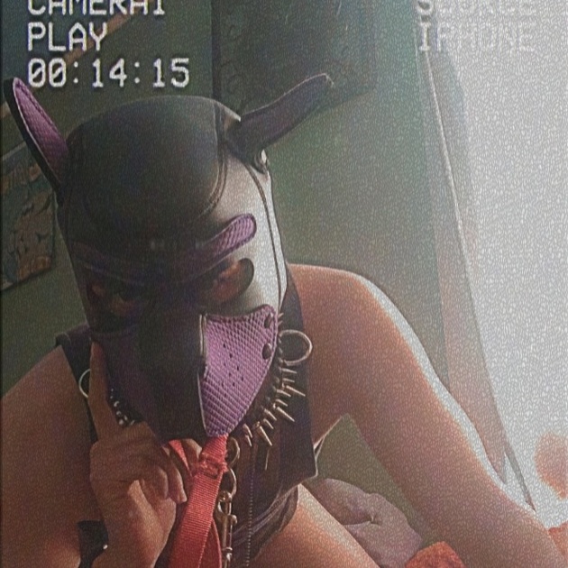 PupFoxxy